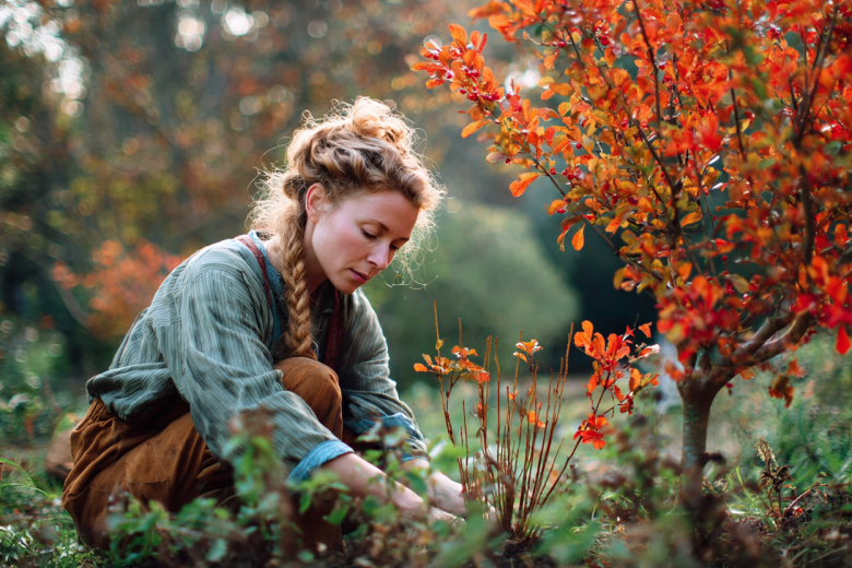 Как сажать крупномеры до морозов в регионах: дельные советы для сада и дачи